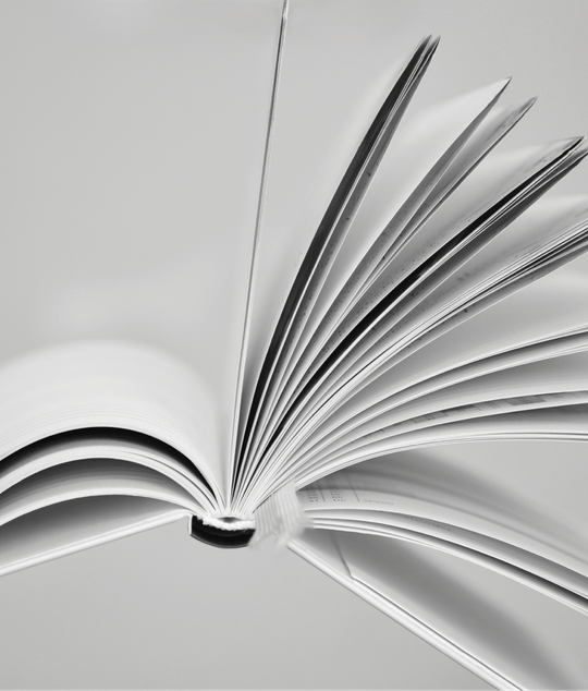 源頭之愛意識覺醒學院