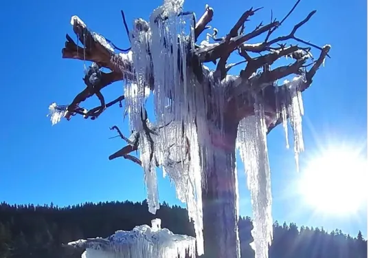 源頭之愛意識覺醒學院